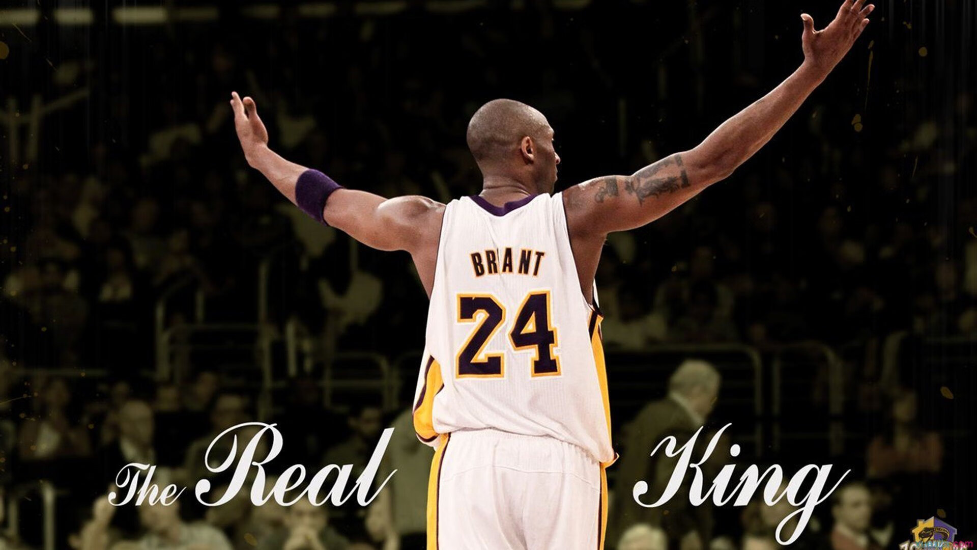 传统民俗“斗牛”比赛,文化底蕴里的竞技热潮,斗牛比赛全过程